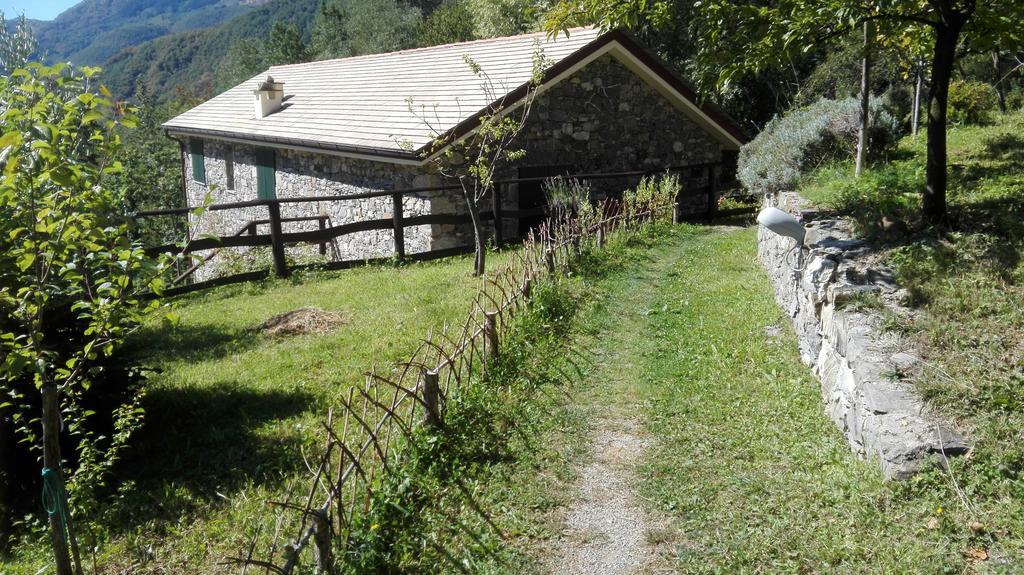 Agriturismo Il Mulino Stibiveri ภายนอก รูปภาพ